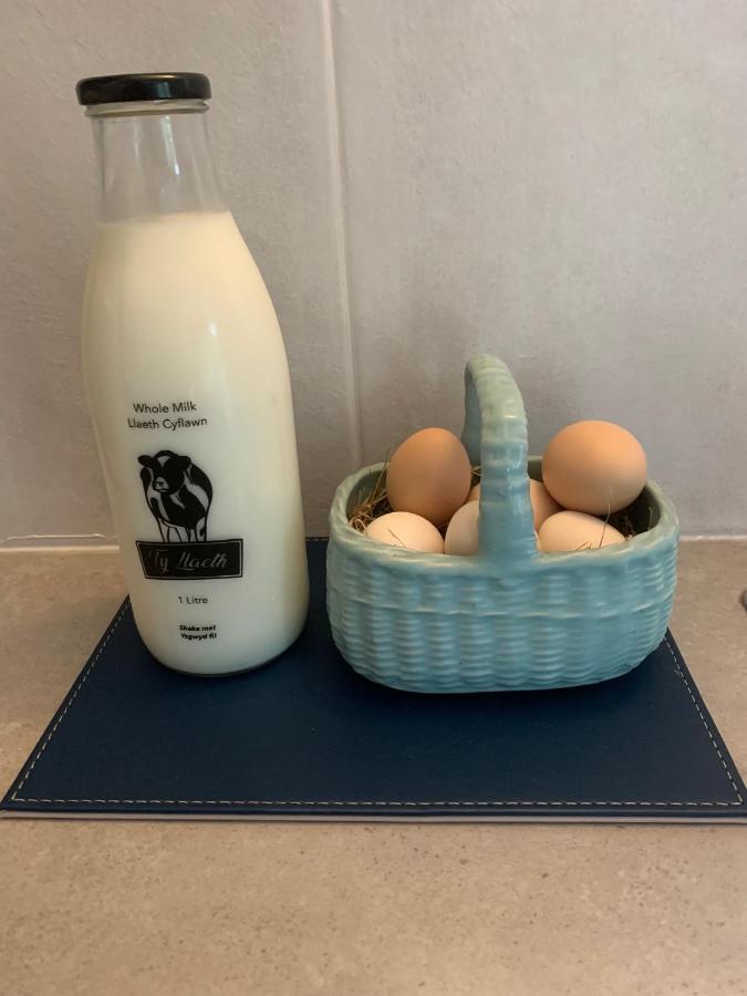 Molehill Lodge 스완지 외부 사진