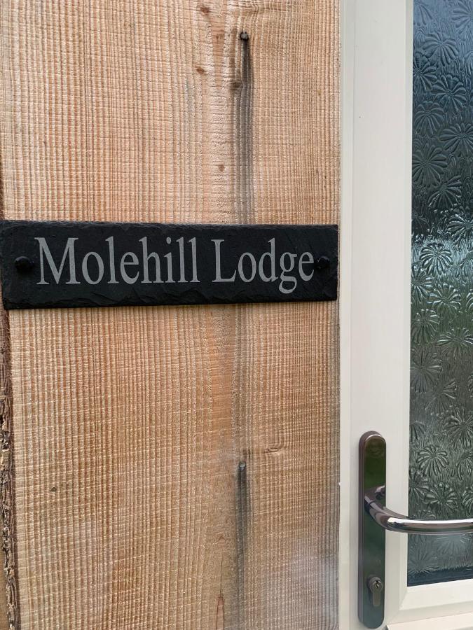 Molehill Lodge 스완지 외부 사진
