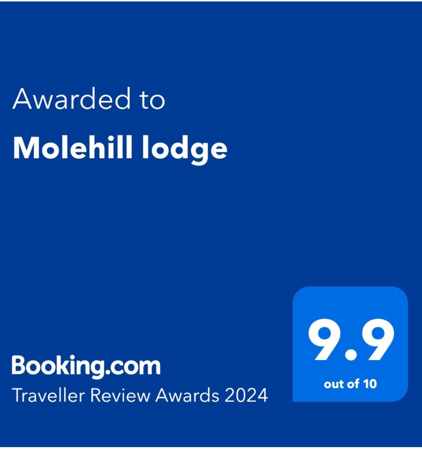 Molehill Lodge 스완지 외부 사진