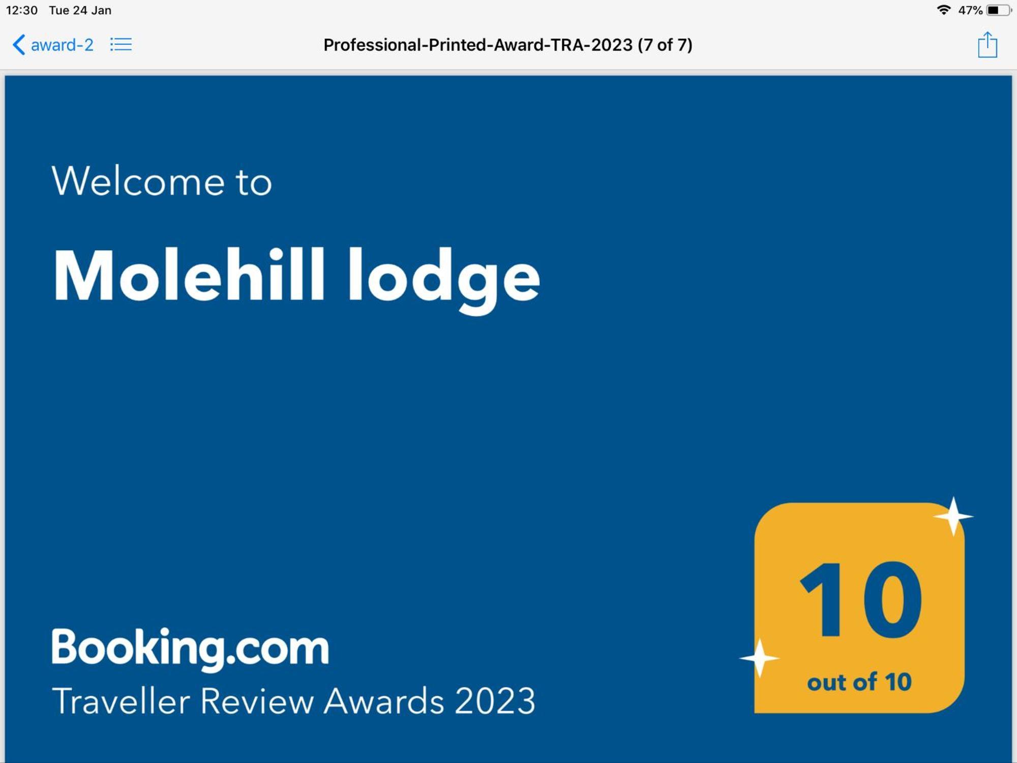 Molehill Lodge 스완지 외부 사진